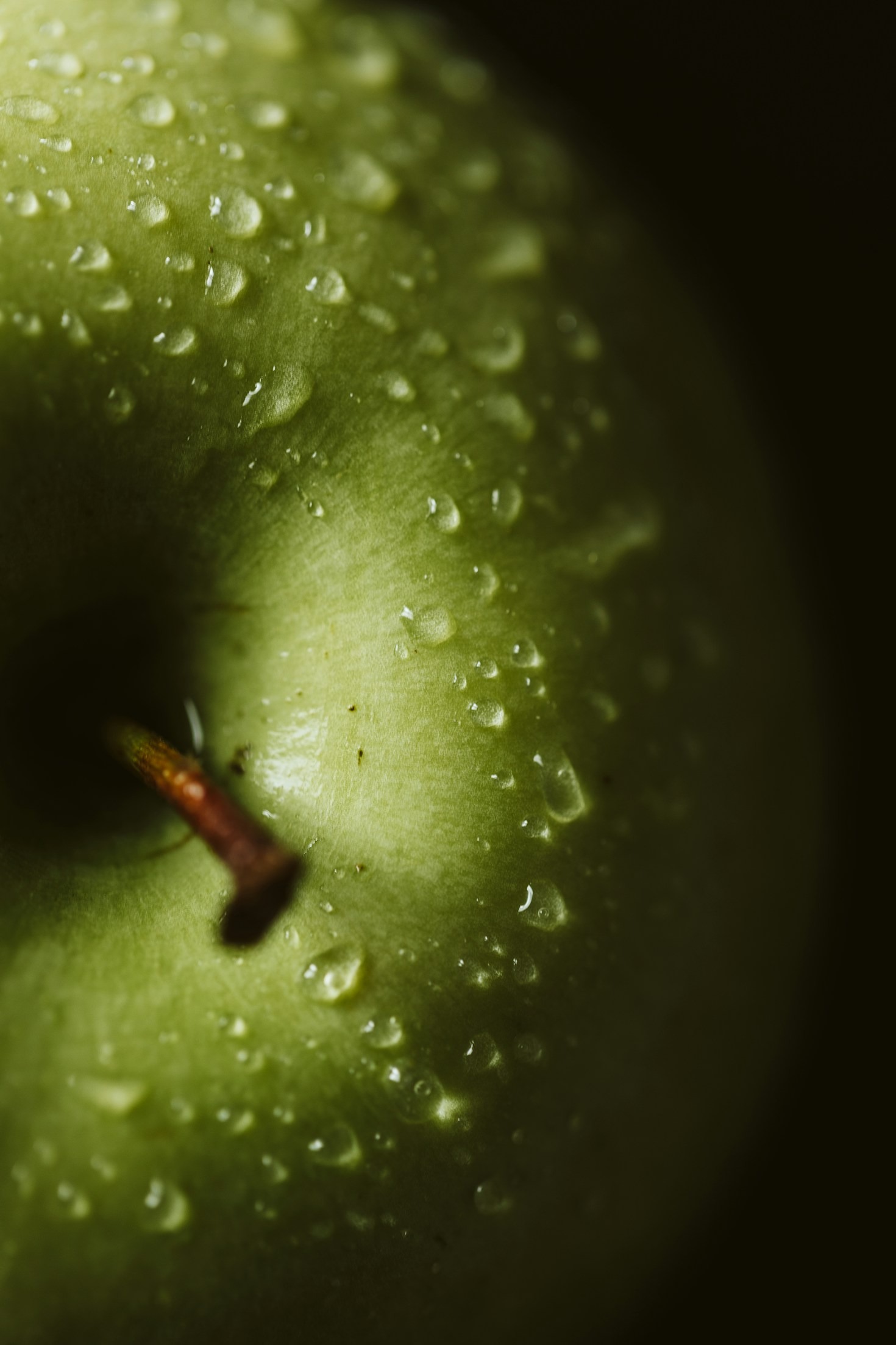 Performance, energia e sabor: o futuro dos suplementos alimentares